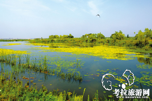 金河灣濕地公園